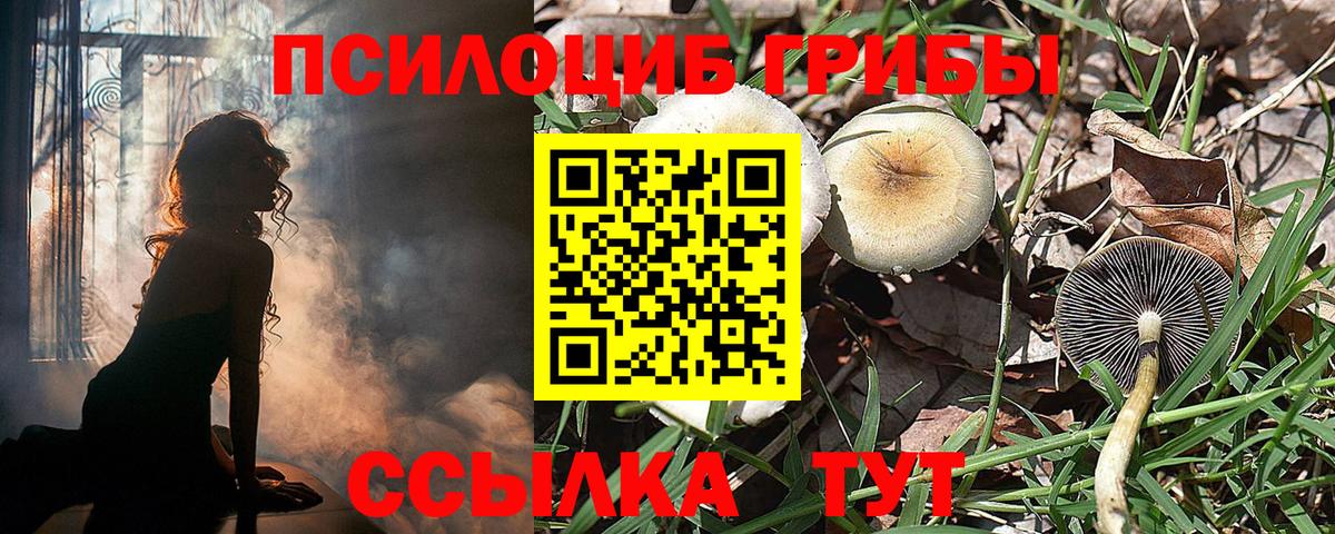 Галлюциногенные грибы Psilocybe  Вход с VPN  Малоярославец  Псилоцибиновые грибы Magic Shrooms 